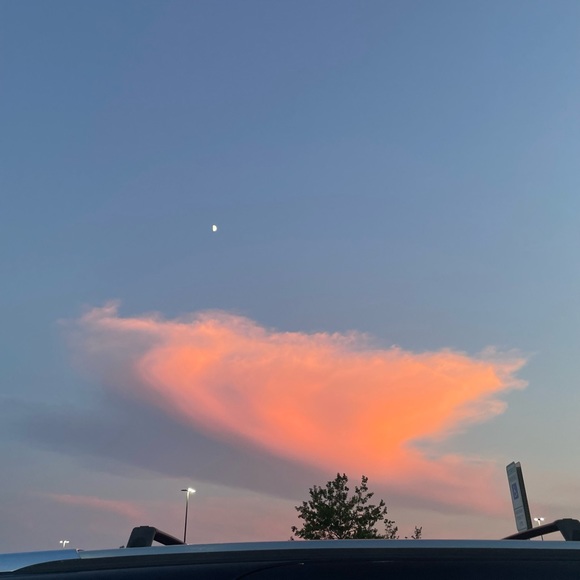 Meet your Posher, Joy252NC99 - Picture 4 of 5